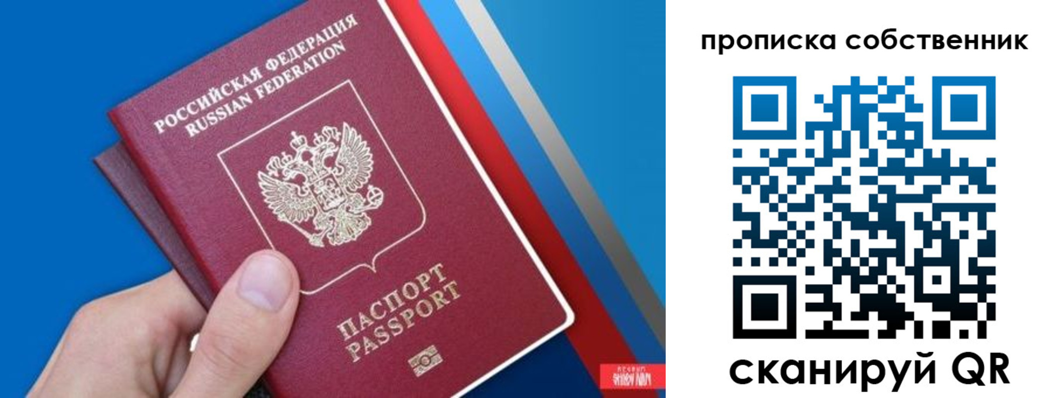 прописка в квартире в Сельцо